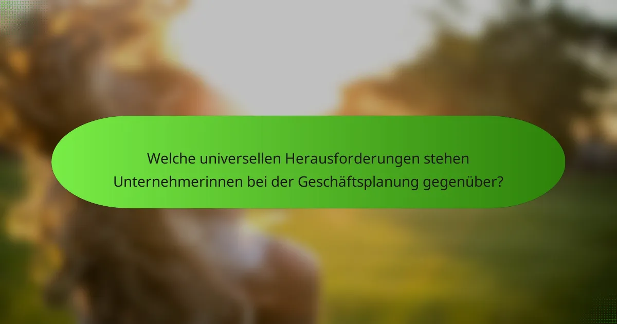 Welche universellen Herausforderungen stehen Unternehmerinnen bei der Geschäftsplanung gegenüber?